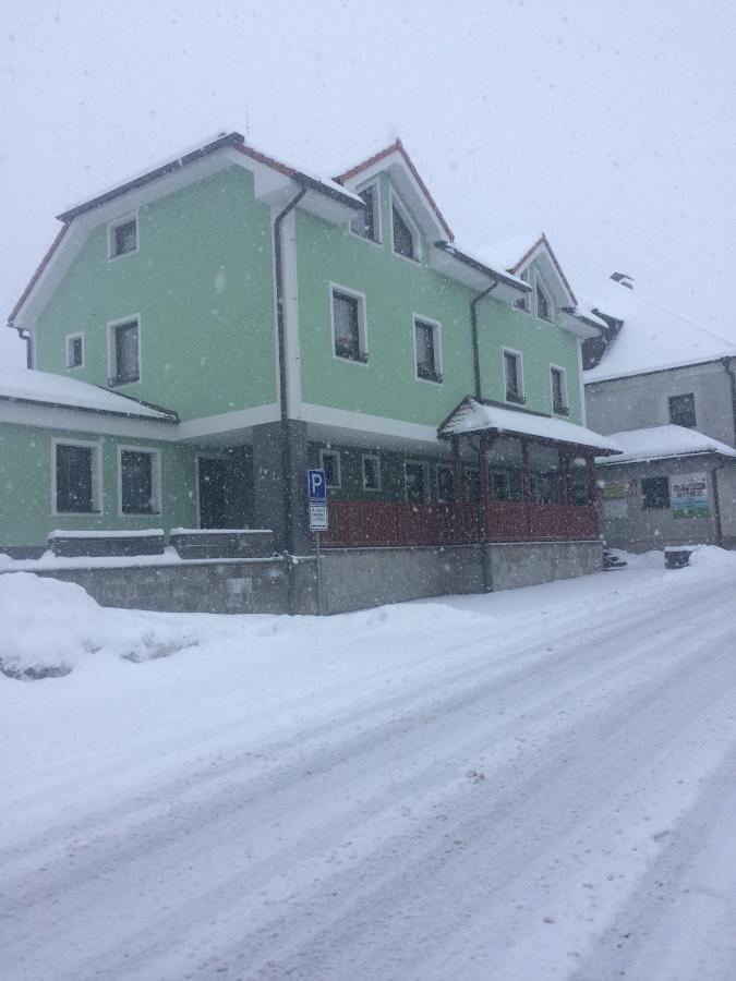 Penzion U Pesku Horní Planá Zewnętrze zdjęcie