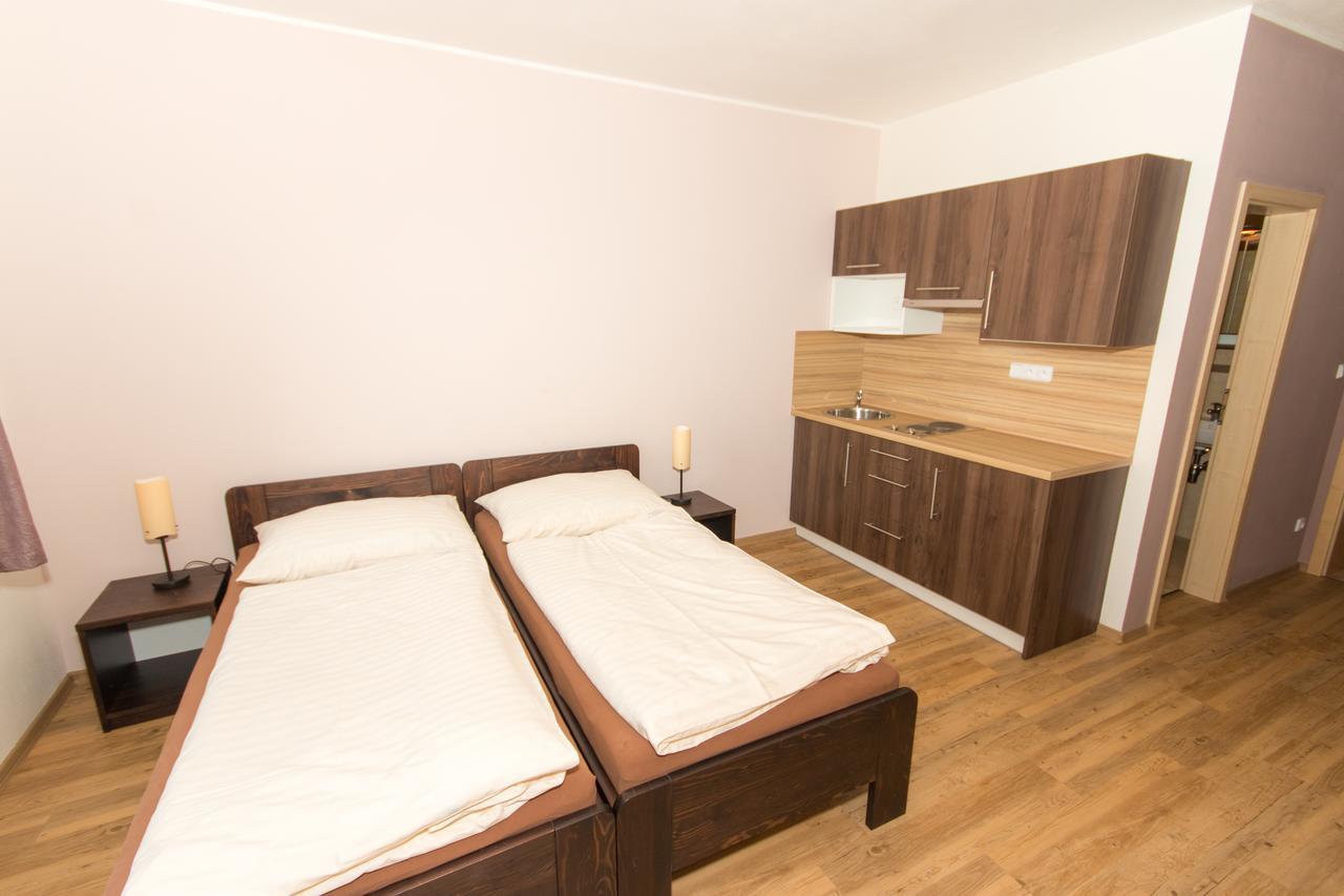Penzion U Pesku Horní Planá Zewnętrze zdjęcie